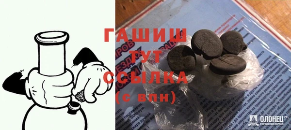 индика Дмитров