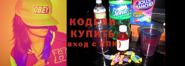 индика Дмитров