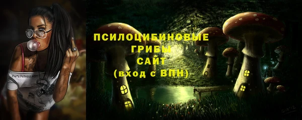 индика Дмитров
