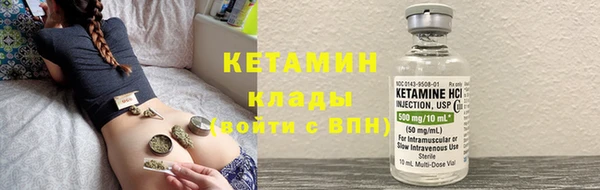 индика Дмитров