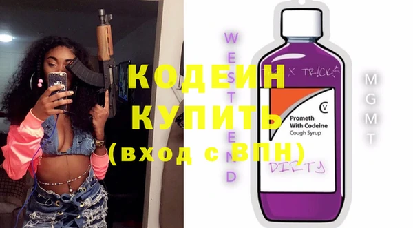 индика Дмитров