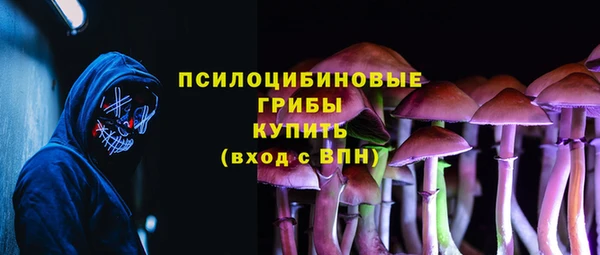 индика Дмитров