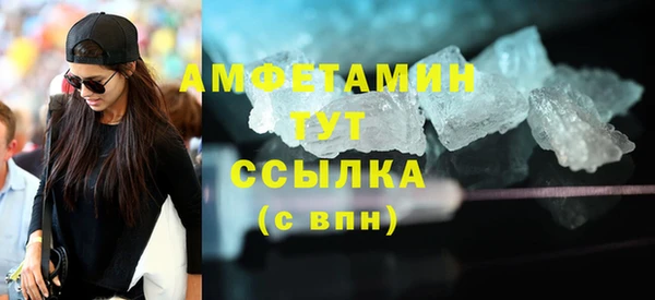 индика Дмитров