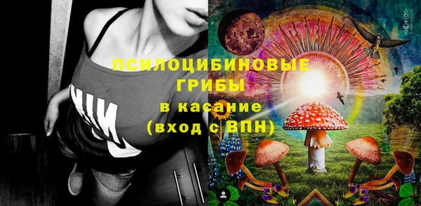 индика Дмитров