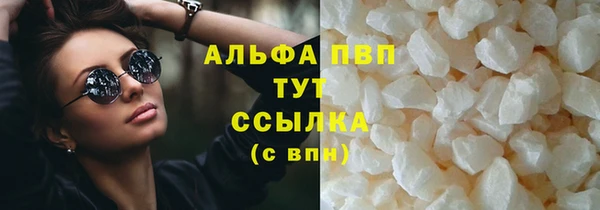 индика Дмитров