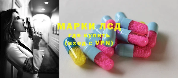 индика Дмитров