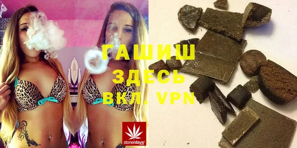 индика Дмитров