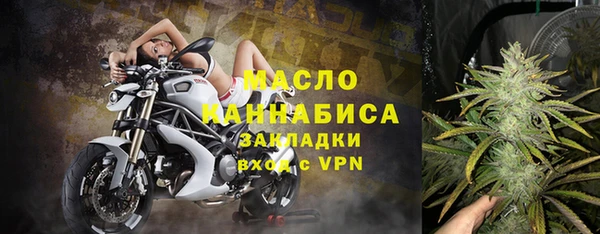 индика Дмитров