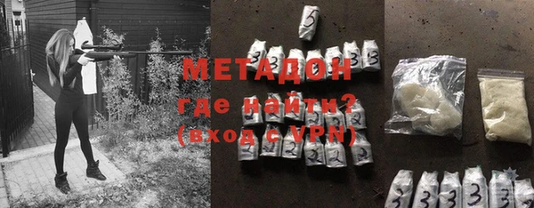 индика Дмитров