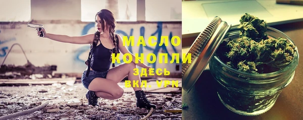 индика Дмитров