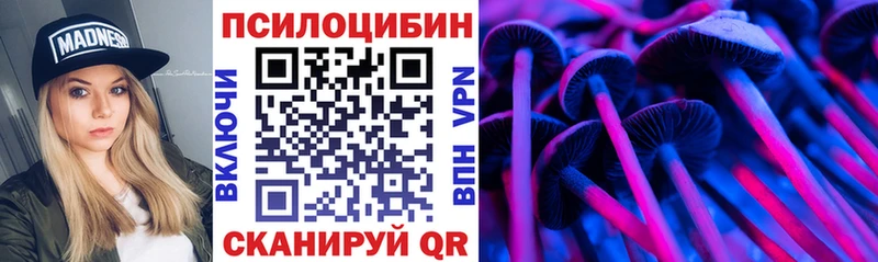 Купить  Пудож  Галлюциногенные грибы Psilocybe 